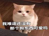 红花岗区再来家常馆