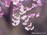 红花岗区再来家常馆