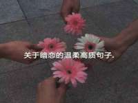 红花岗区再来家常馆
