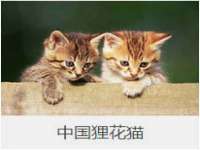 红花岗区再来家常馆