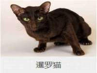 红花岗区再来家常馆