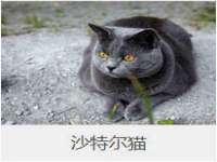 红花岗区再来家常馆
