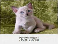 红花岗区再来家常馆
