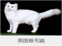 红花岗区再来家常馆