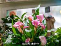 红花岗区再来家常馆