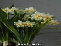 红花岗区再来家常馆