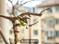 红花岗区再来家常馆