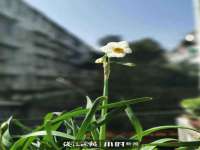 红花岗区再来家常馆