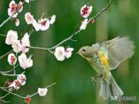 红花岗区再来家常馆