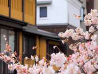 红花岗区再来家常馆